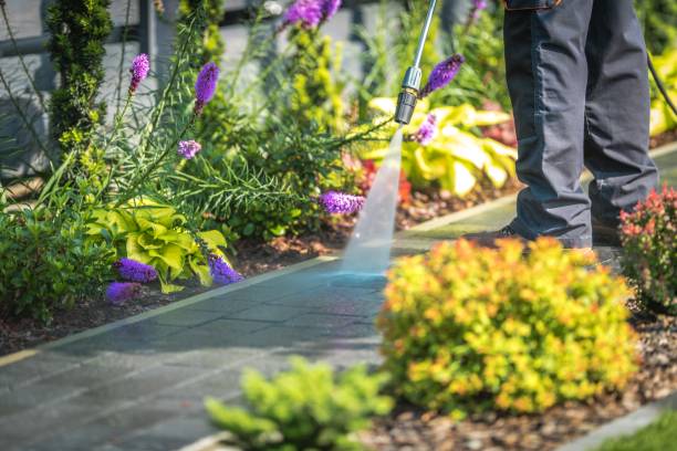 Best Dumpster Area Cleaning  in Dawson, GA
