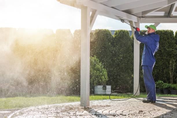 Best Sidewalk and Walkway Cleaning  in Dawson, GA